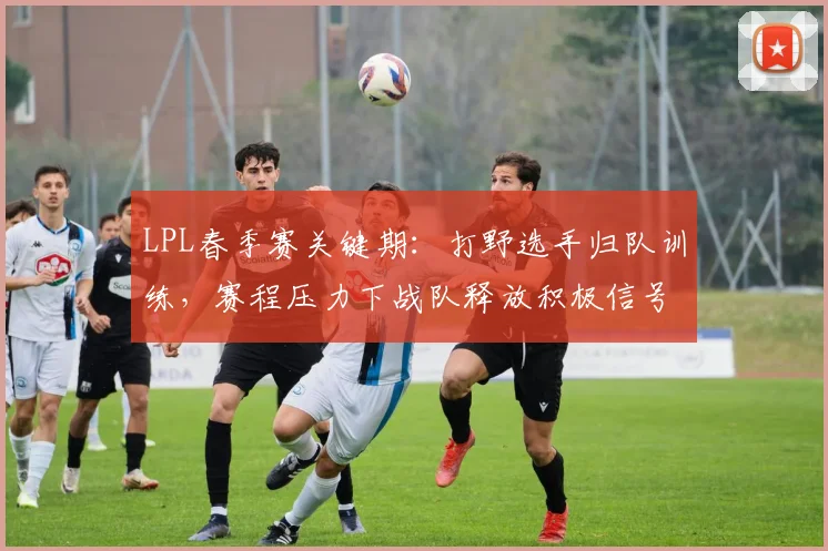 LPL春季赛关键期：打野选手归队训练，赛程压力下战队释放积极信号